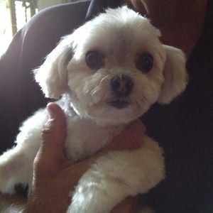 Meet your Posher, Jacqueline